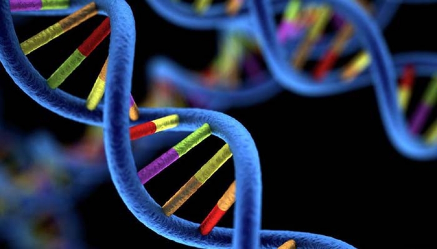 SCACCO ALLE NEOPLASIE – LA PROFILAZIONE GENOMICA